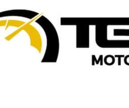 Teo Motors