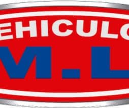 Autos Vehículos ML